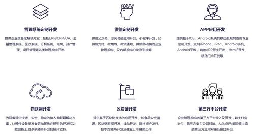 軟件開發外包服務 定義、模式、優勢與選擇指南